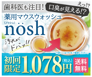 ノッシュ ドンキ